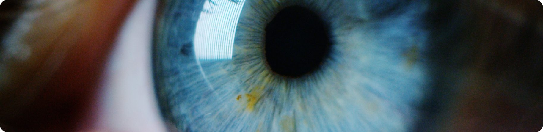 an eye at a microscopic level